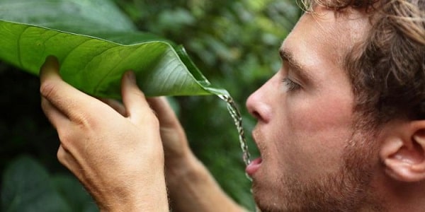 Le survivalisme : une tendance ou une réalité ?